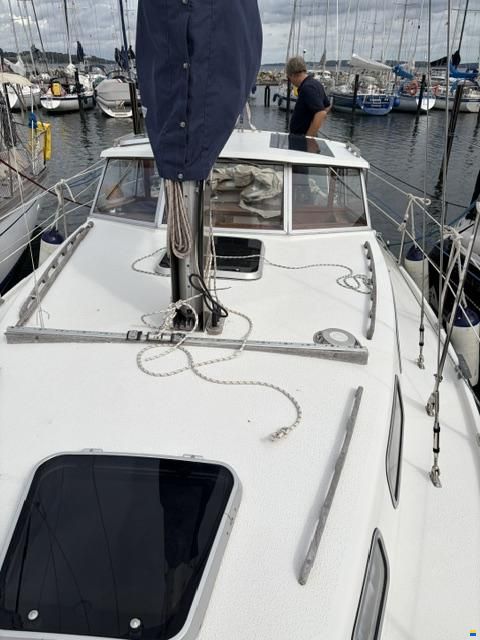 Venus 31