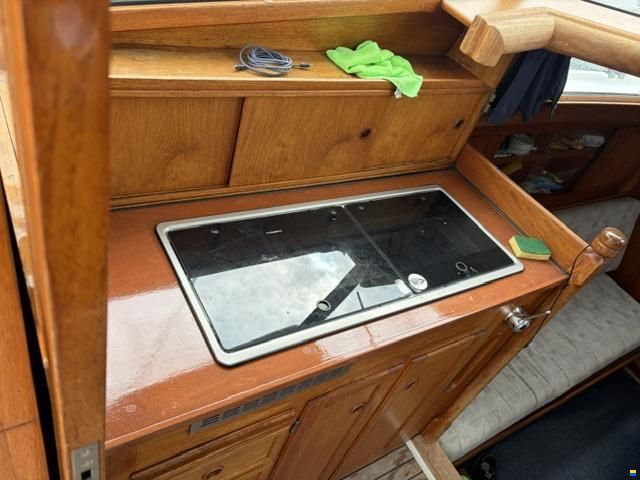 Venus 31