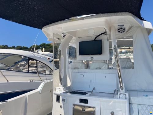 Regal 33 SAV