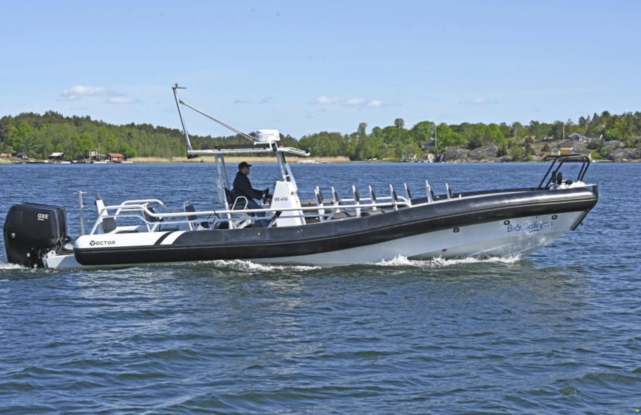 RIB Vector 11