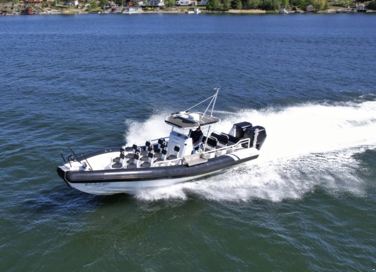 RIB Vector 11