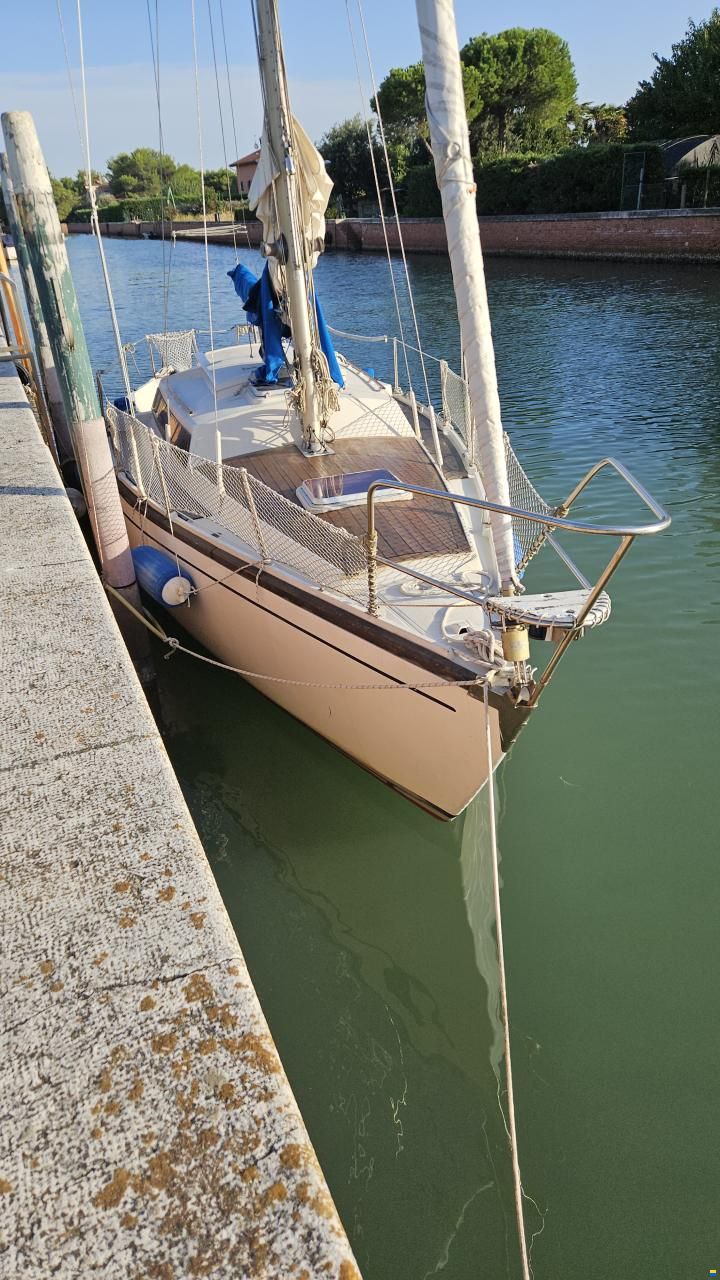 Dufour Safari