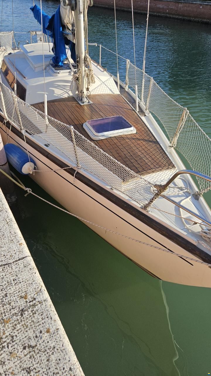 Dufour Safari
