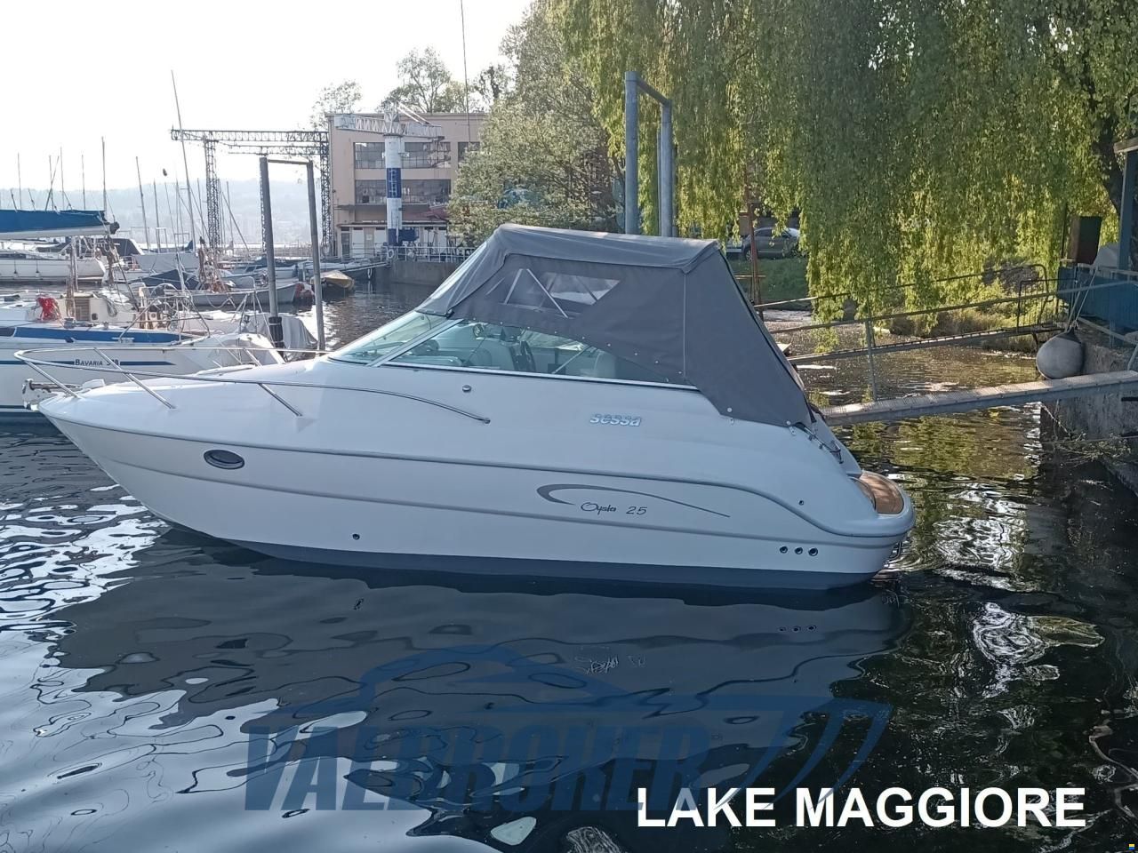 Sessa OYSTER 25