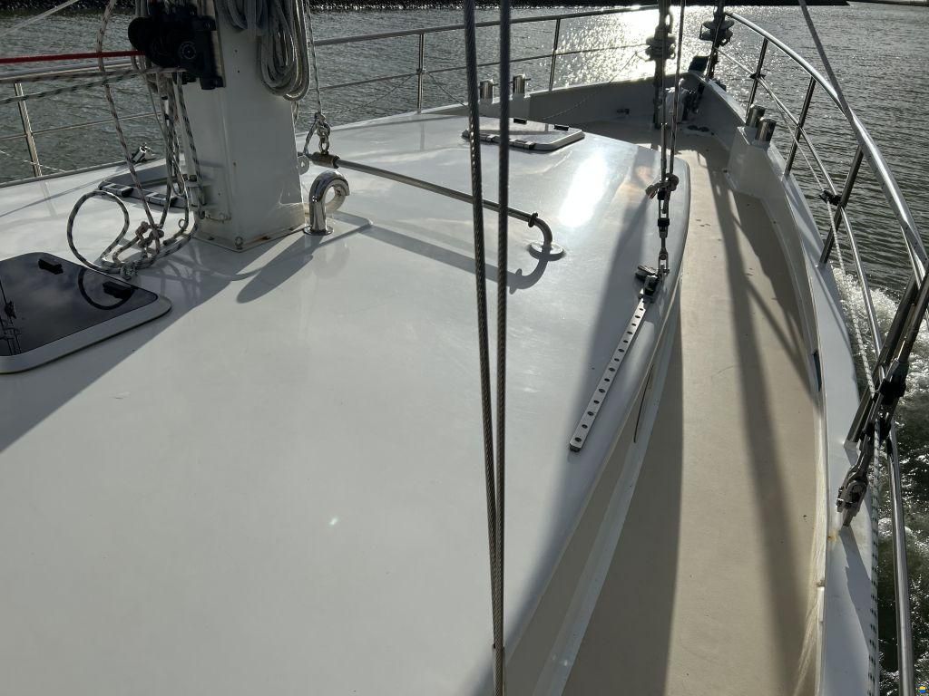 Noordkaper 42