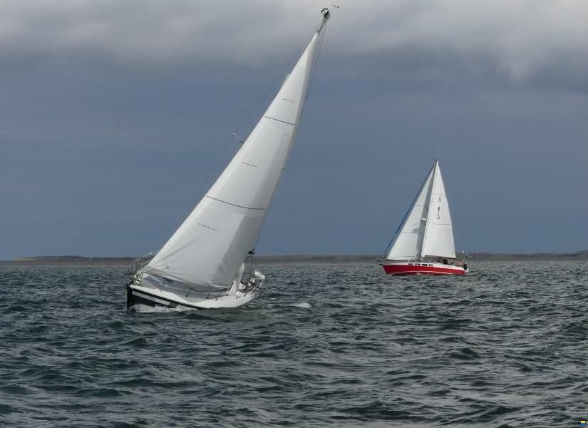 Southerly 95