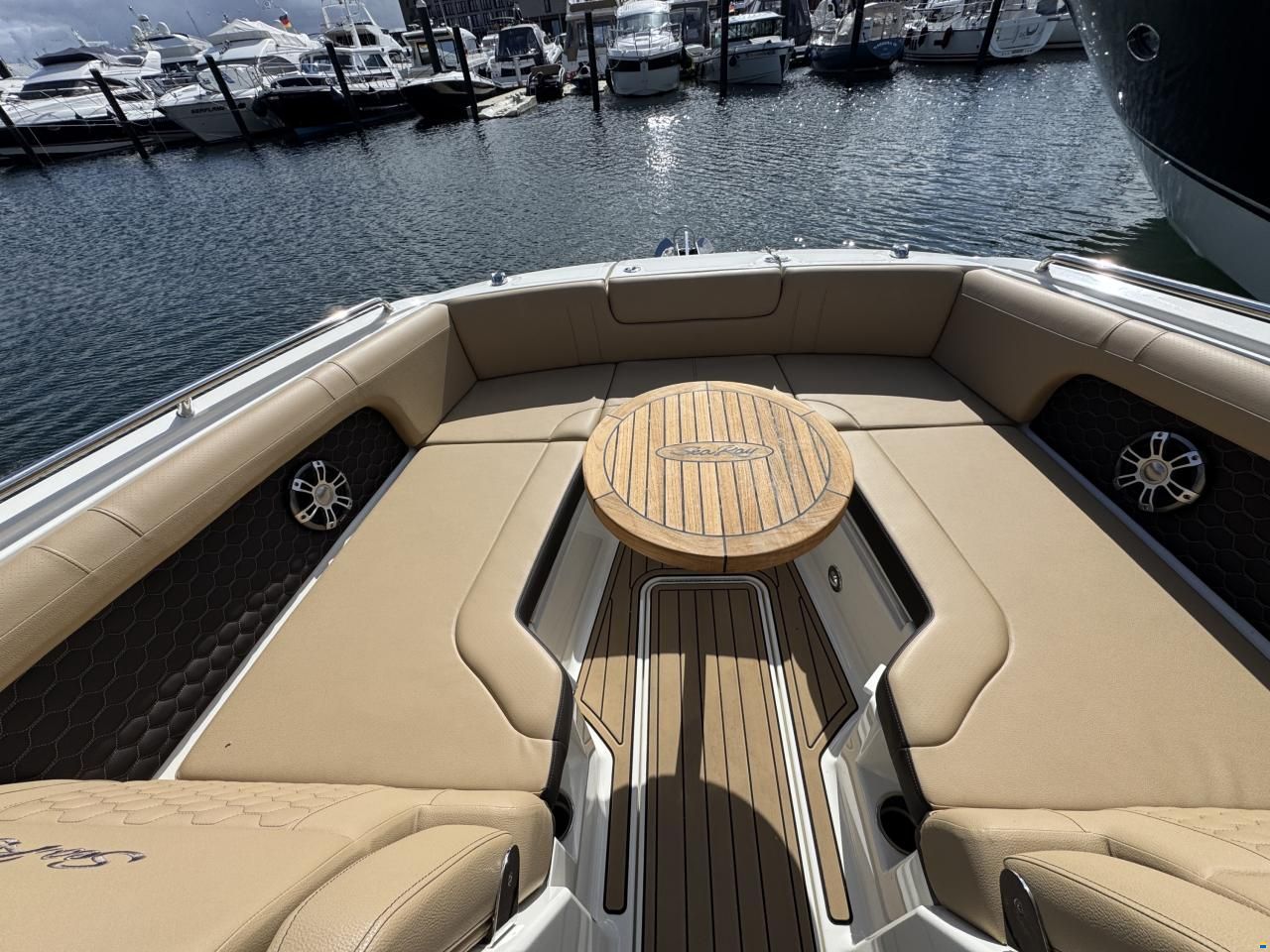 Sea Ray SDX 290