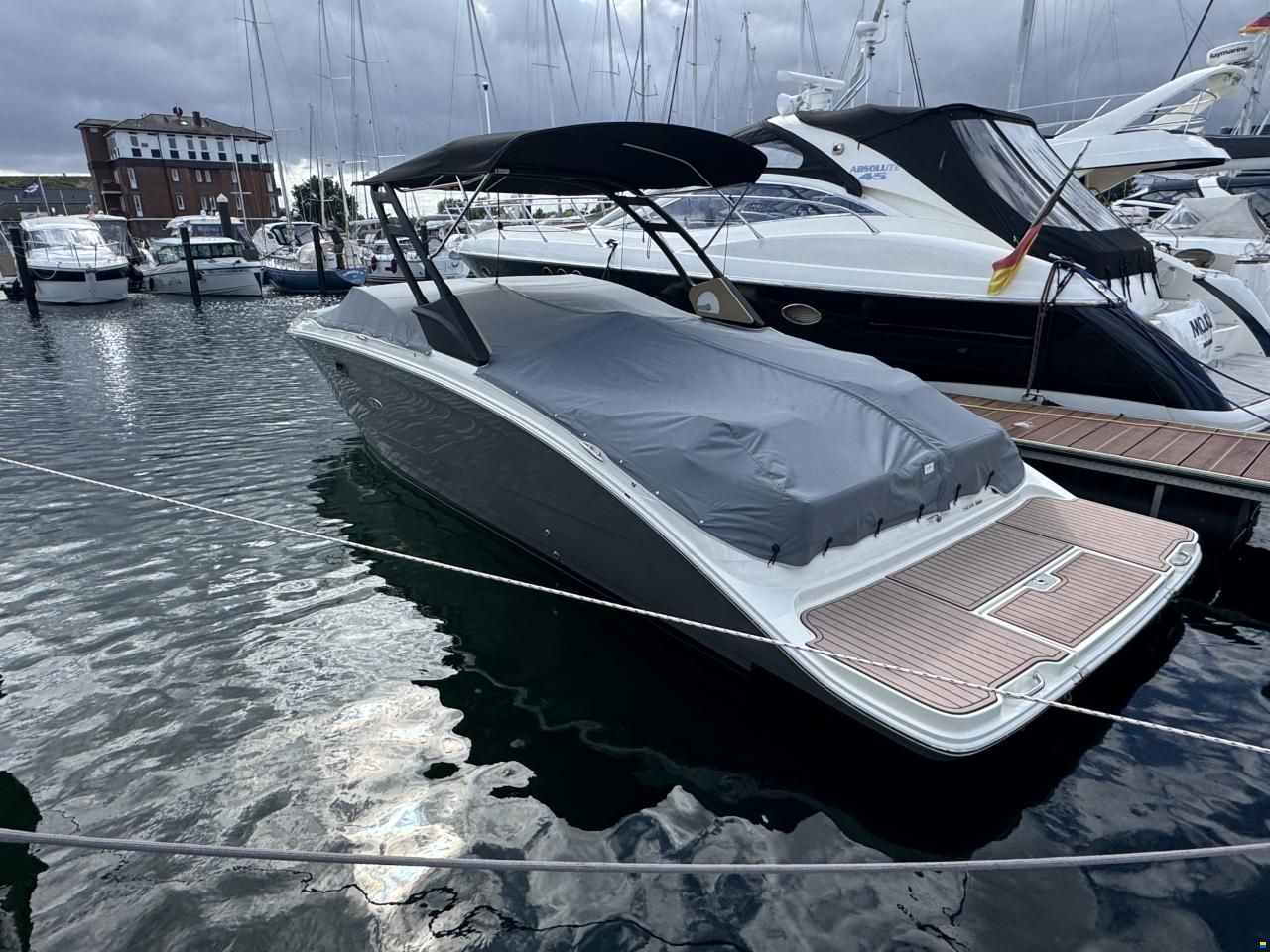 Sea Ray SDX 290