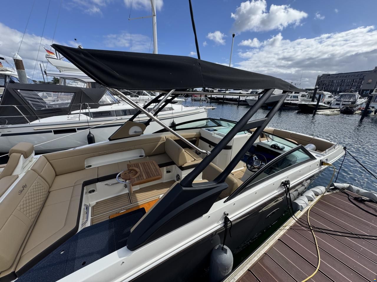Sea Ray SDX 290