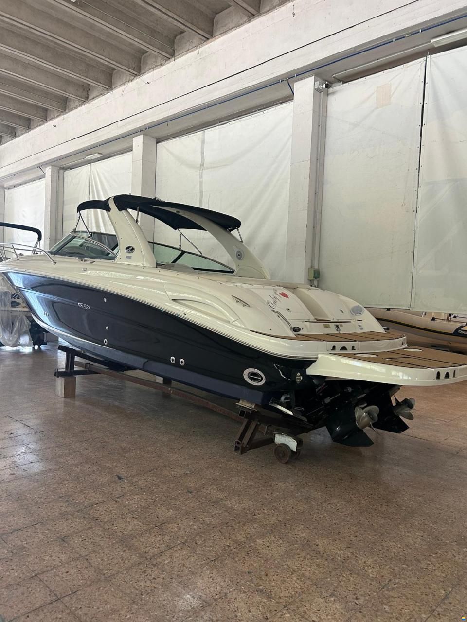 Sea Ray 290