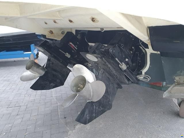 Sea Ray 290