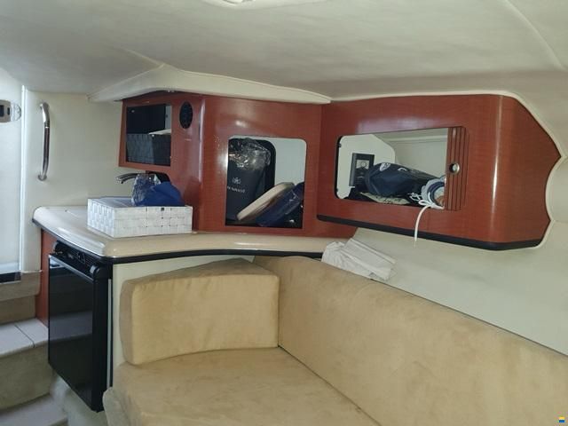 Sea Ray 290
