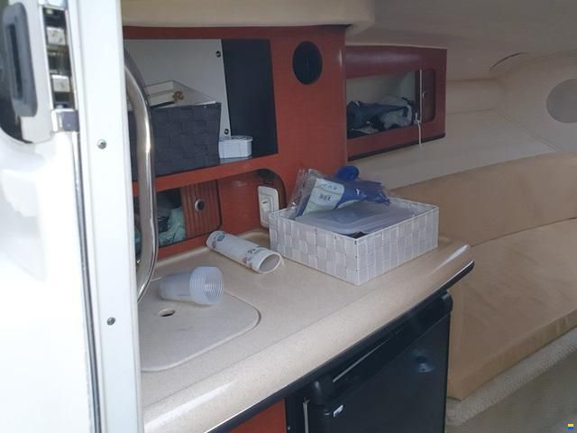 Sea Ray 290