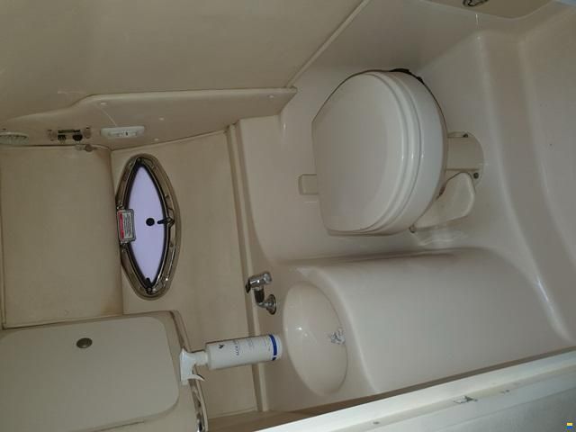 Sea Ray 290