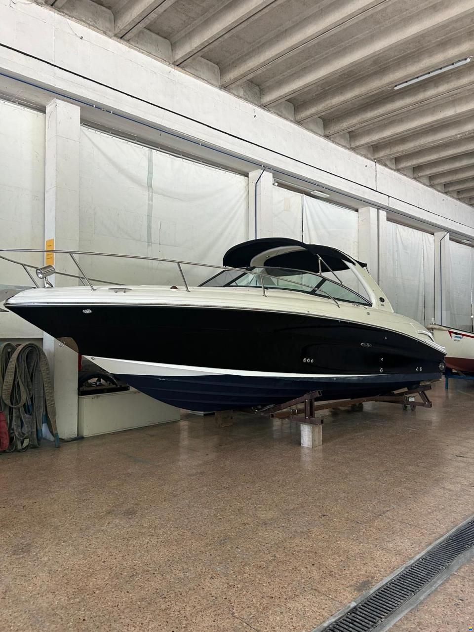 Sea Ray 290