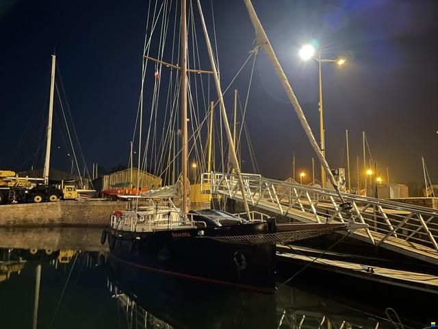 Puffin 42