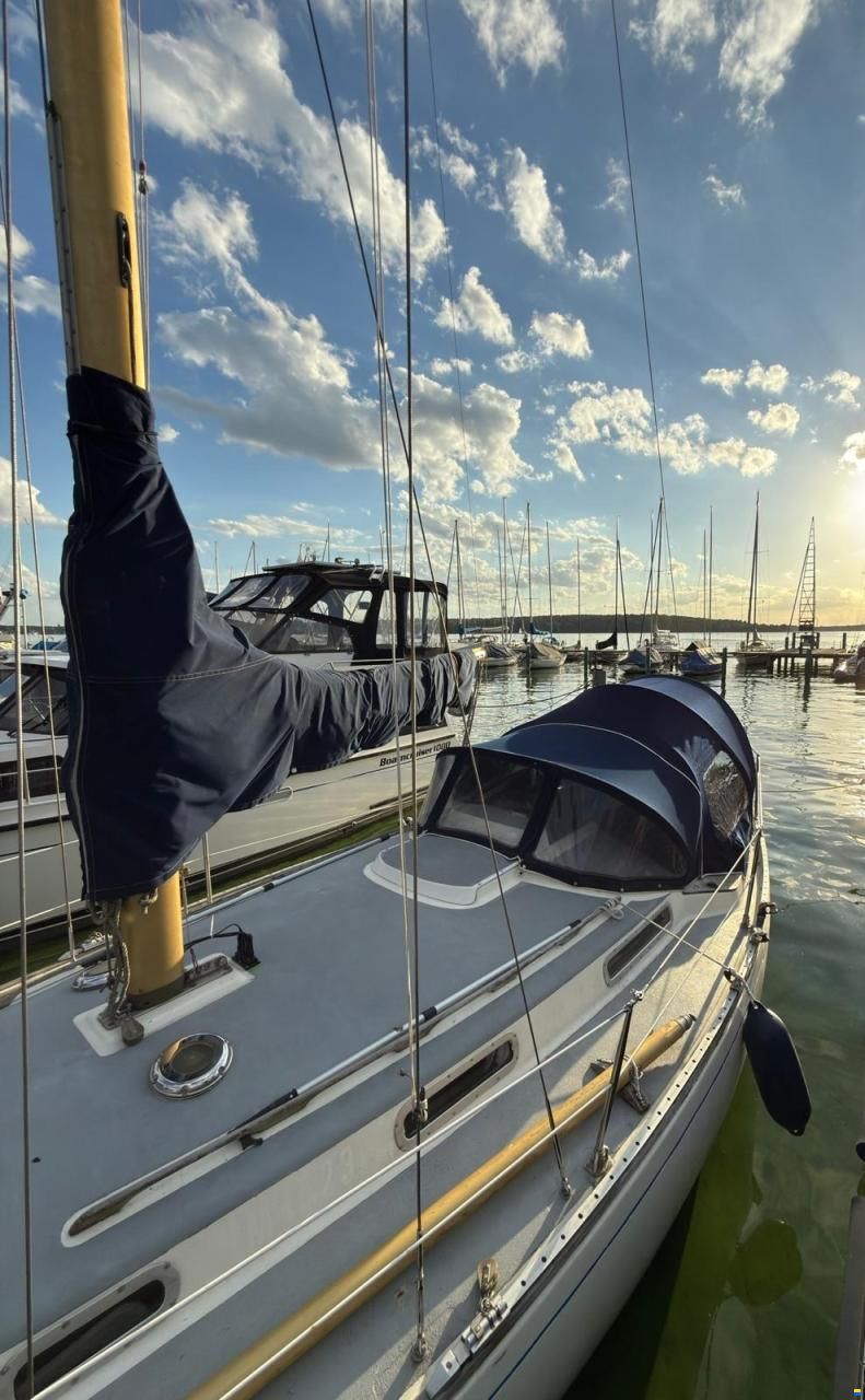 Wauquiez Centurion 32