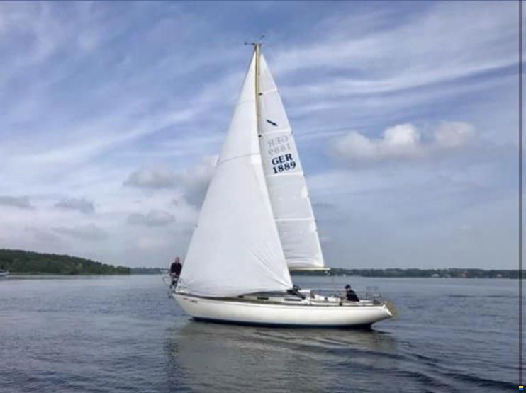 Wauquiez Centurion 32