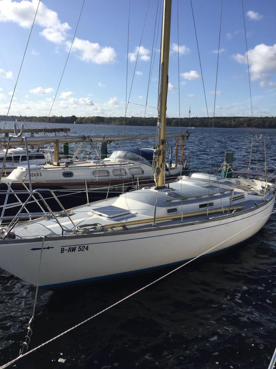 Wauquiez Centurion 32