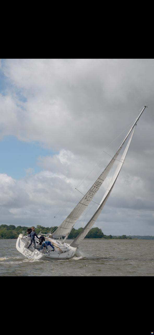 Hanse Varianta 37