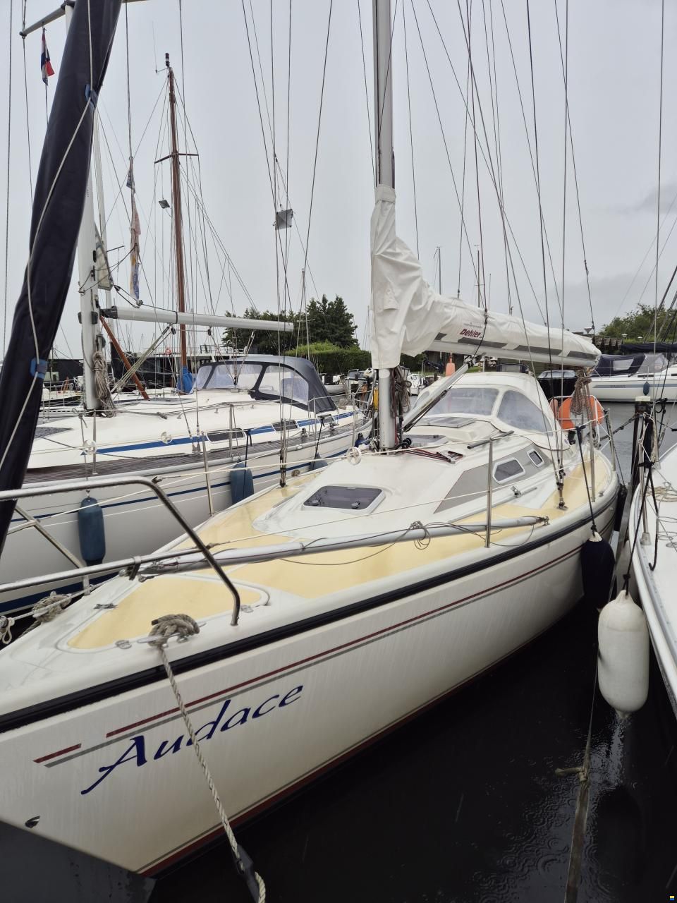 Dehler 32 Top