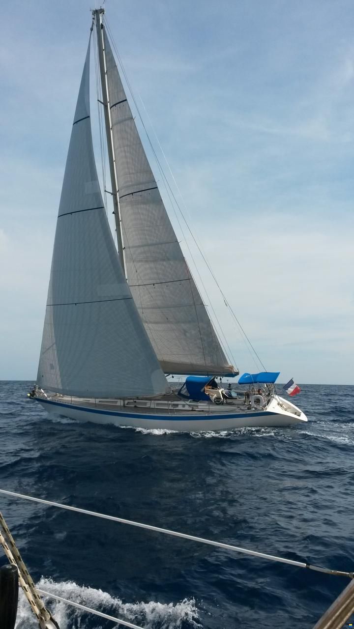 Wauquiez Centurion 49