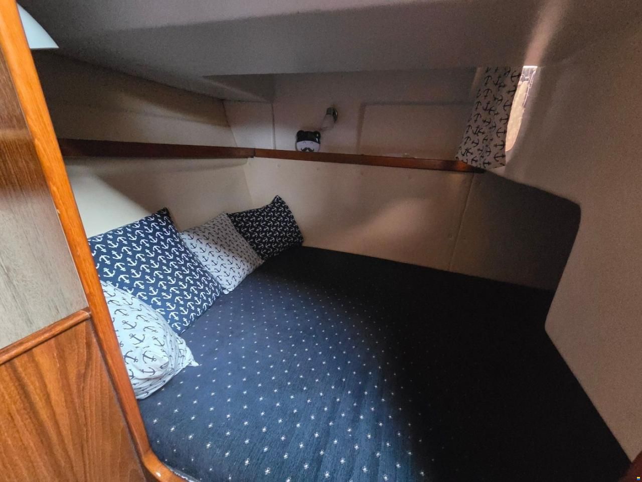 Marex 290 Sun Cruiser HT