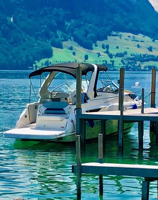Larson 265 Cabrio