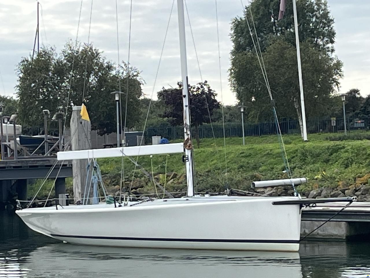 PRO25