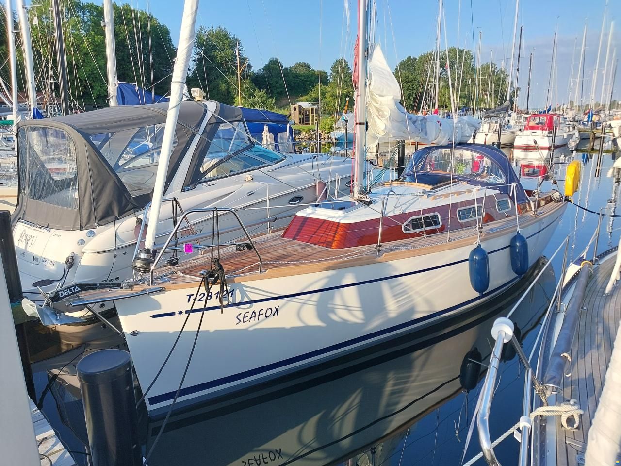 Biga 270