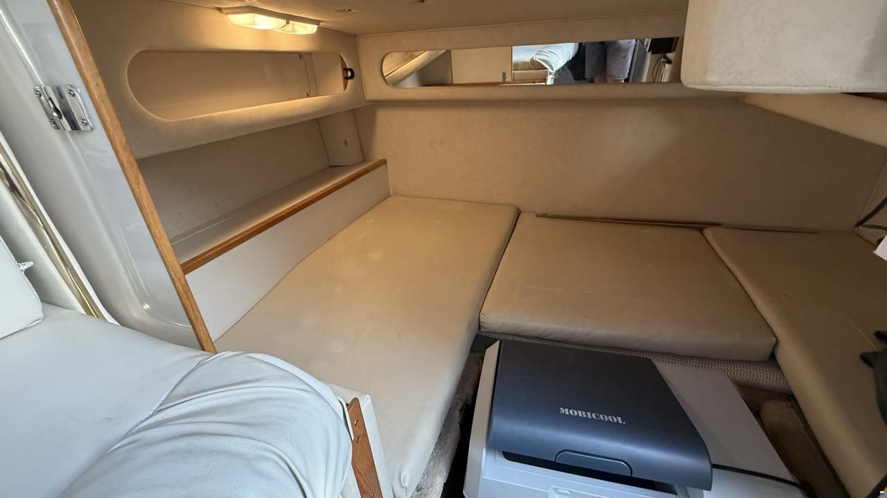 Sea Ray Sundancer 29