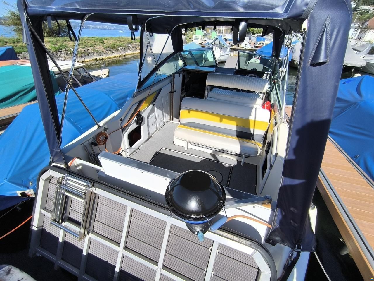 Sea Ray 220