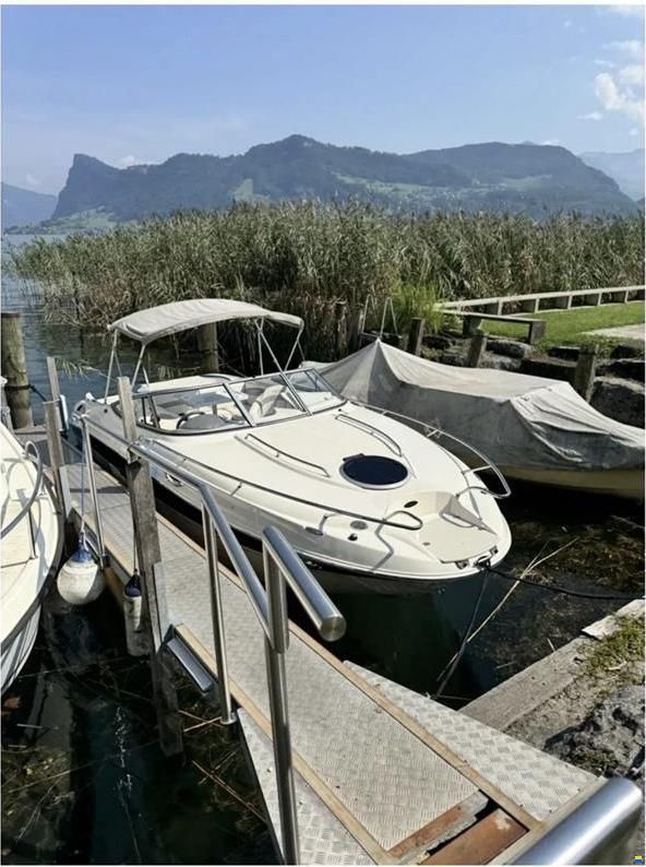 Stingray 235 CR