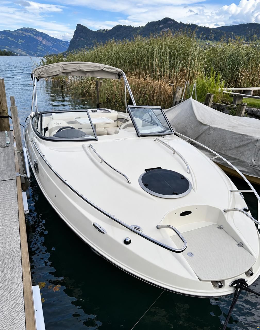 Stingray 235 CR