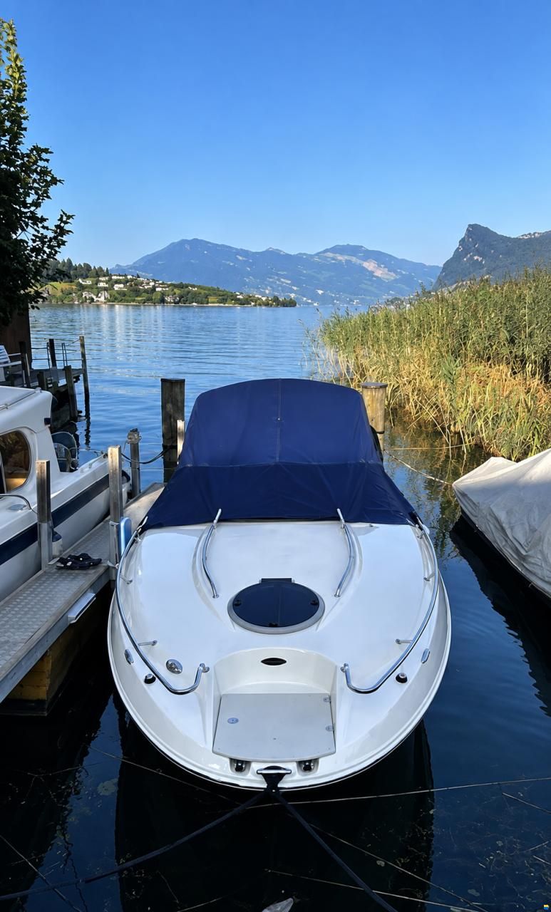 Stingray 235 CR