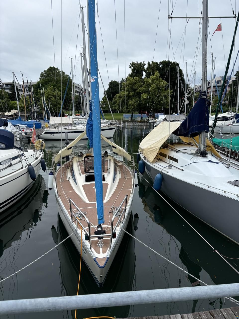 Olsen 31