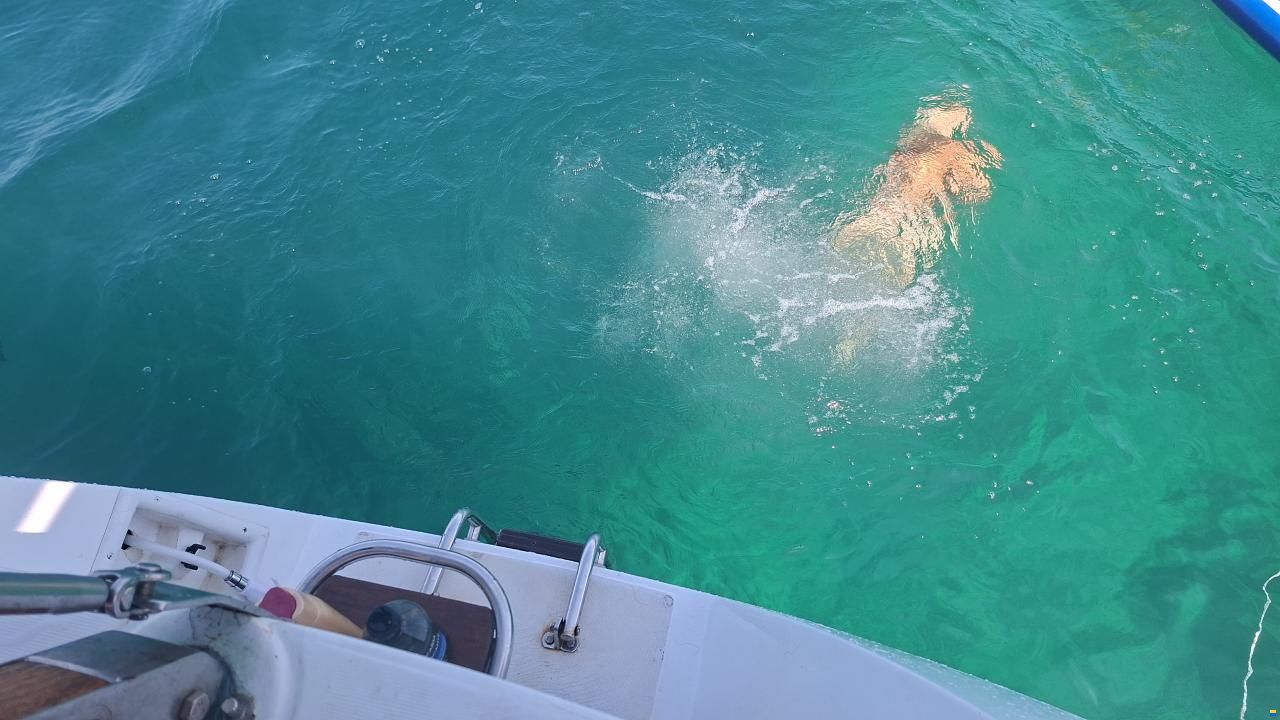 Jeanneau Sun Light 30