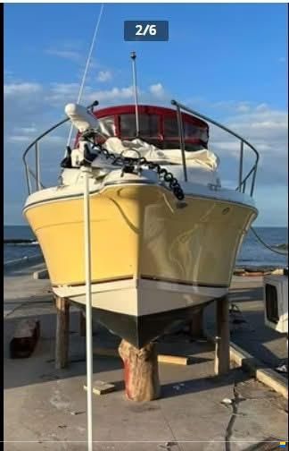 Seaswirl Striper