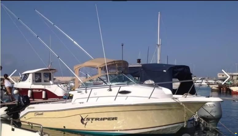 Seaswirl Striper