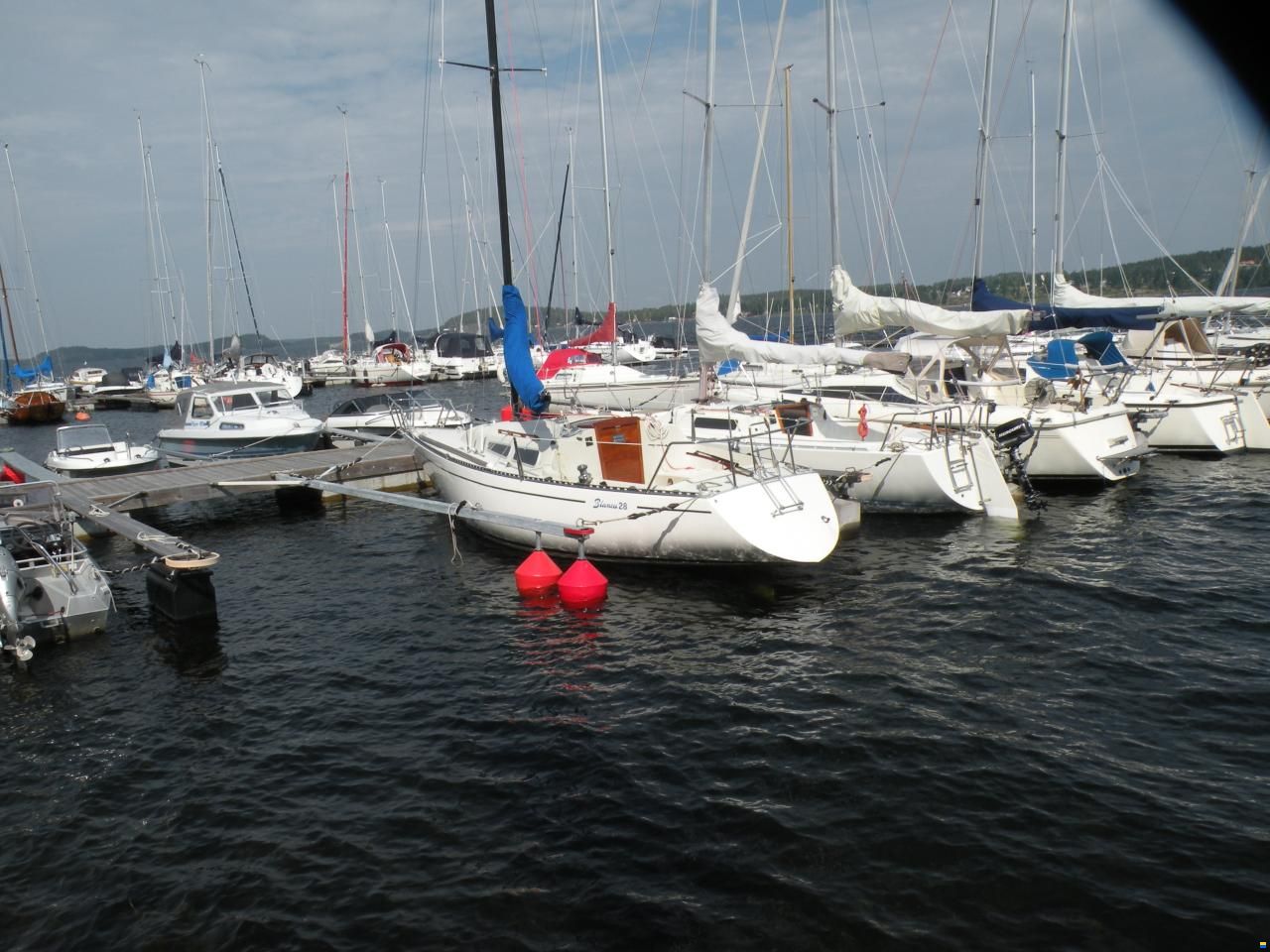 Bianca 28