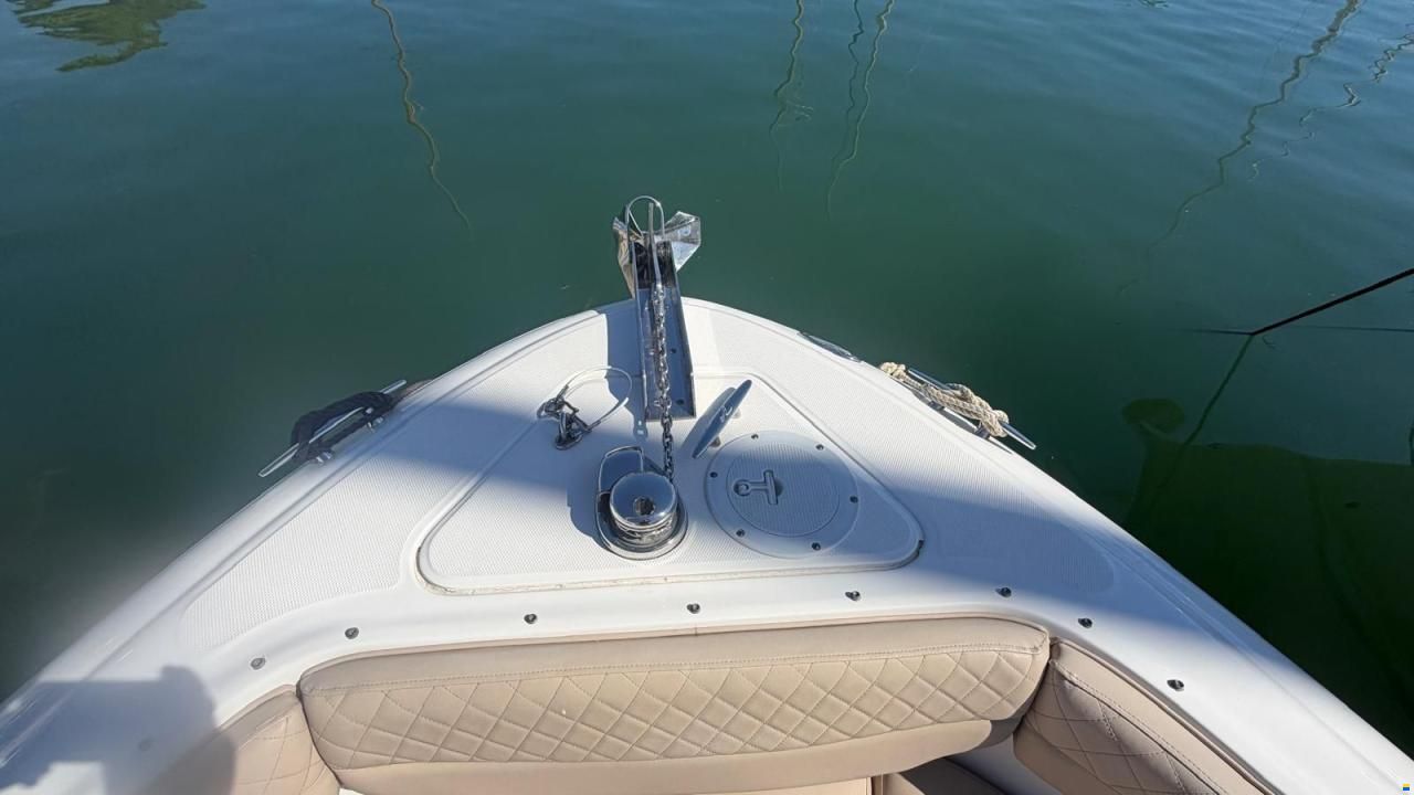 Sea Ray SLX 290