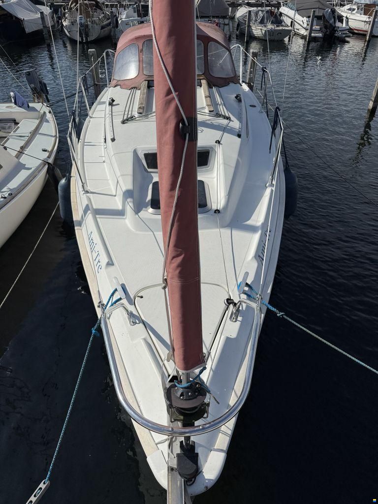 Jeanneau Sun Odyssey 24.2
