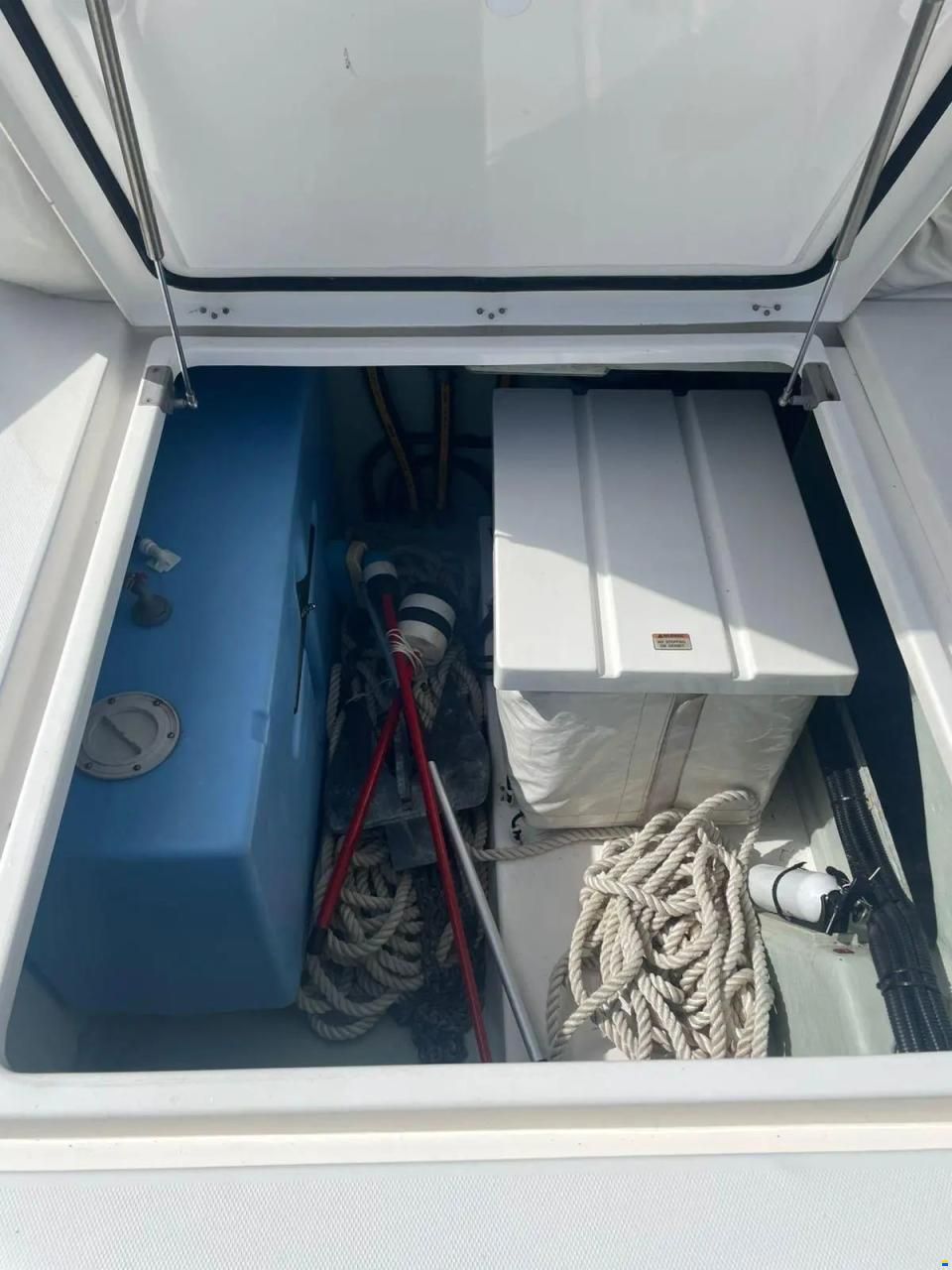 Leopard 40
