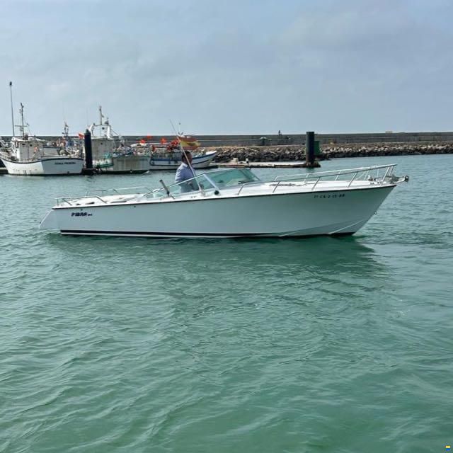 AESA Fibra H24 Daytona