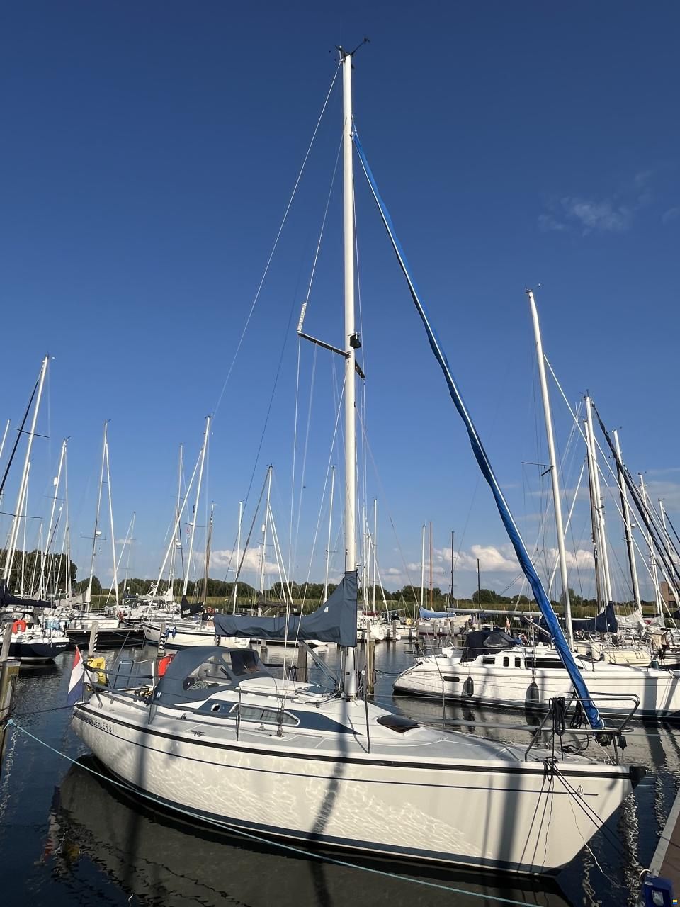 Dehler 31 Top