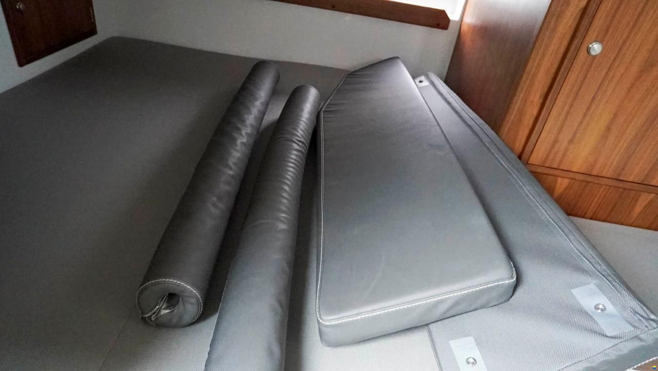 Sargo 31