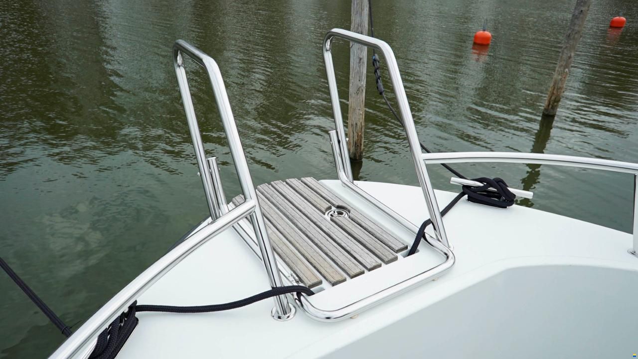Sargo 31