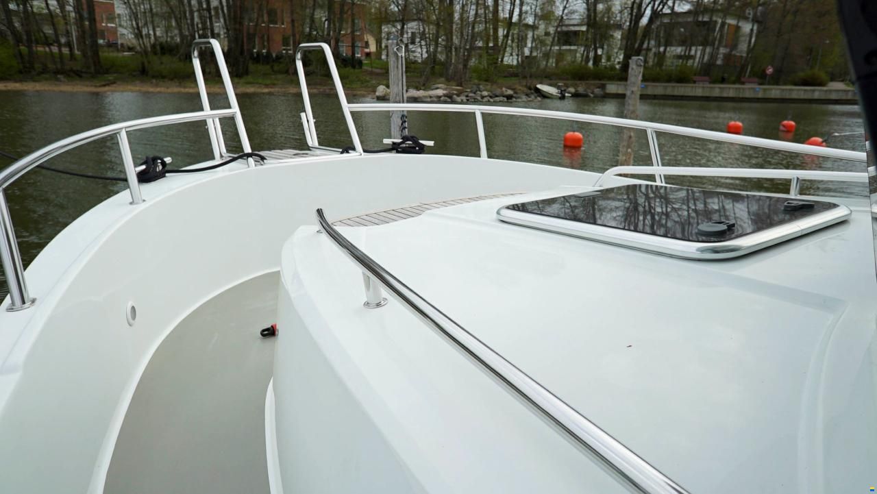 Sargo 31