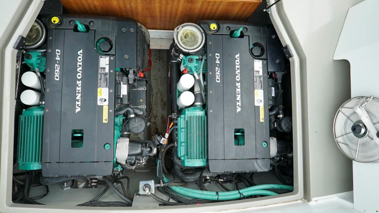 Sargo 31