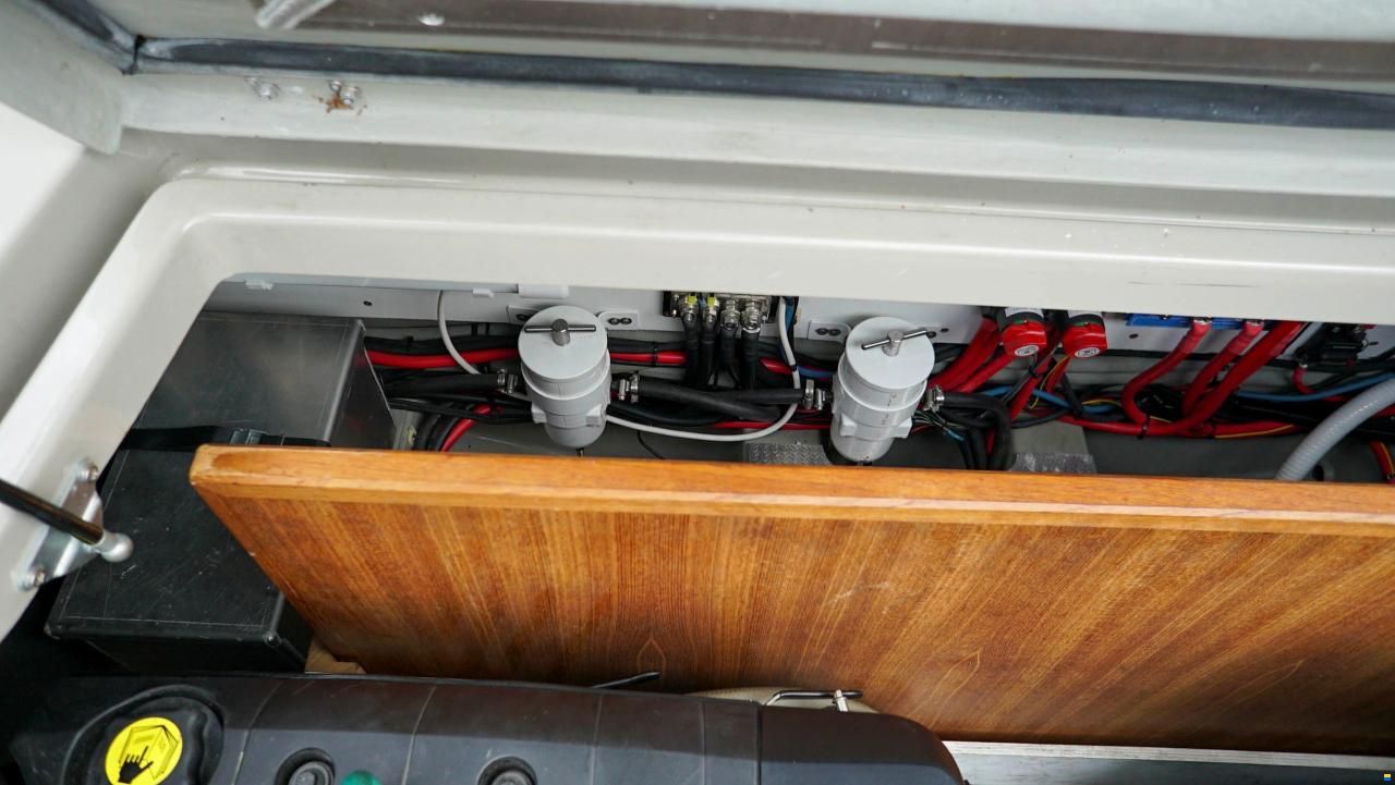 Sargo 31